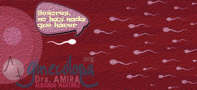 espermatozoide embarazo ovulo fecundación regla