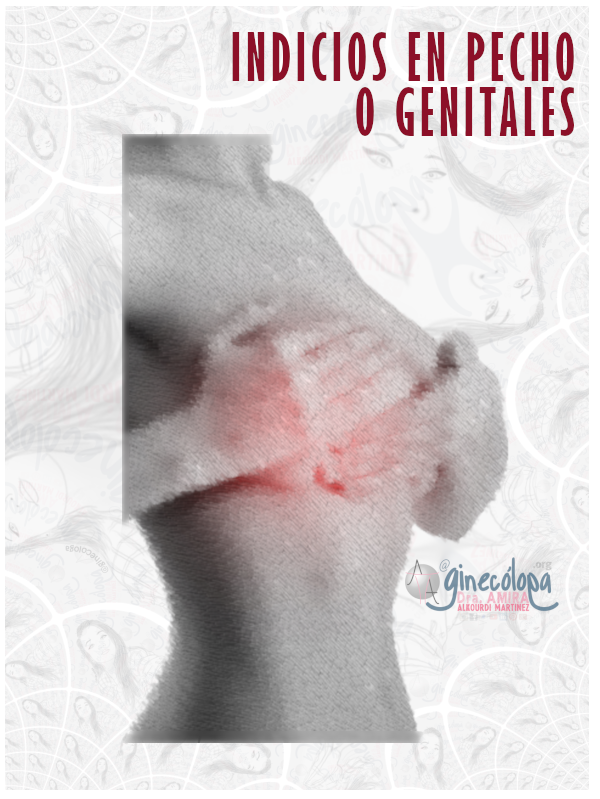 mujer pecho genital tits pecho teta