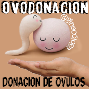 donante de óvulos hazte