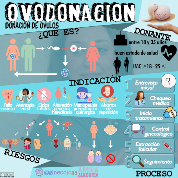 Ovodonación donación de ovulos